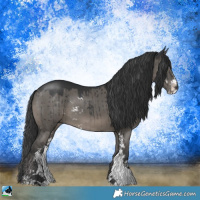 Horse Color:Grullo Sabino Rabicano Brindle 