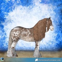 Horse Color:Liver Red Dun Sabino Rabicano Brindle