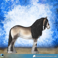 Horse Color:Brown Onyx Sabino Rabicano 