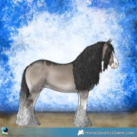 Horse Color:Grullo Onyx Mushroom Splash Rabicano 