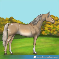 Horse Color:White Spotted Chocolate Palomino Dun Sabino Rabicano 