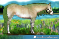 Horse Color:Watercolor Liver Red Onyx Sabino Frame 