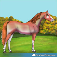 Horse Color:Watercolor Liver Red Onyx Sabino