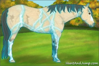 Horse Color:Thunderstruck Buckskin Ice Dun 