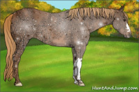 Horse Color:Chestnut Ice 