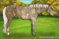 Horse Color:Palomino Ice