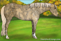 Horse Color:Palomino Ice 