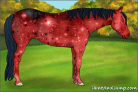 Horse Color:ERROR: UNKNOWN ANOMALY