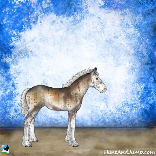 Horse Color:Liver Red Onyx Mushroom Sabino 