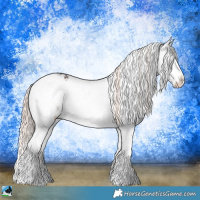 Horse Color:Liver Red Dun Onyx Mushroom Sabino