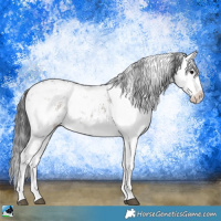 Horse Color:White Spotted Grullo Onyx Sabino 