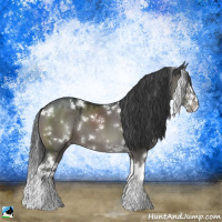 Horse Color:White Spotted Grullo Sabino Splash 