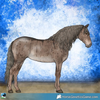 Horse Color:Liver Red Dun Mushroom Rabicano Brindle 