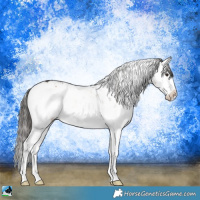 Horse Color:Liver Red Dun Onyx Sabino Brindle 