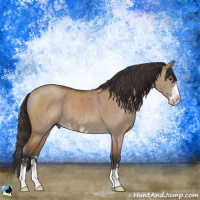 Horse Color:Bay Dun Mushroom Sabino Brindle 