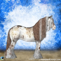Horse Color:White Spotted Liver Red Dun Onyx Sabino Rabicano Brindle