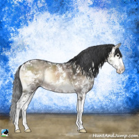 Horse Color:Brown Ice Onyx Mushroom Sabino Rabicano