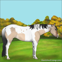 Horse Color:Bay Roan Dun Tobiano 
