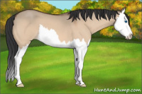 Horse Color:Bay Roan Dun Splash 