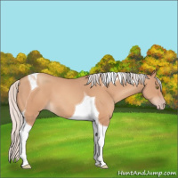 Horse Color:Silver Amber Champagne Tobiano 