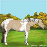 Horse Color:Classic Cream Champagne Dun Tobiano