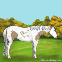Horse Color:Classic Cream Champagne Splash Tobiano 