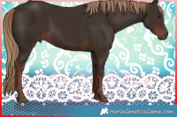 Horse Color:Liver Chestnut Rabicano 