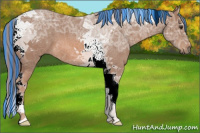 Horse Color:Painted Chestnut Ice Tobiano 