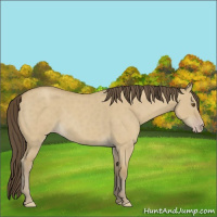 Horse Color:Classic Cream Champagne Roan Dun