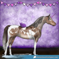 Horse Color:White Spotted Liver Red Dun Tobiano Brindle 