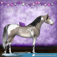 Horse Color:Brown Dun Sabino Tobiano Rabicano 