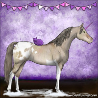 Horse Color:Liver Red Dun Tobiano Appaloosa Brindle 