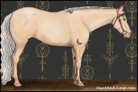 Horse Color:Silver Buckskin Pearl Rabicano 