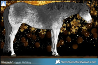 Horse Color:White Spotted Black 