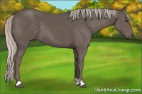 Horse Color:Silver Black 