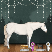 Horse Color:Smoky Creme Dun Splash 