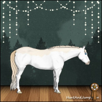 Horse Color:Perlino Dun Splash 