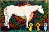 Horse Color:Perlino Dun Splash 