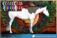 Horse Color:Smoky Grullo Splash 