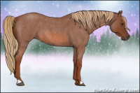 Horse Color:Red Roan 