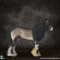 Horse Color:Blue Onyx 