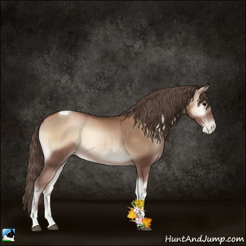 Horse Color:Blue Onyx Pearl Tobiano 