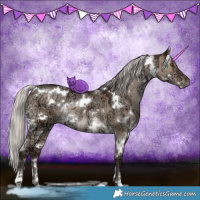 Horse Color:White Spotted Silver Brown Ice Dun Brindle