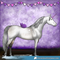 Horse Color:Gray White Spotted Brown Dun