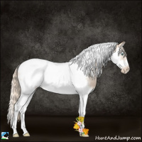 Horse Color:Gold Champagne Pearl Splash Tobiano Frame Rabicano 