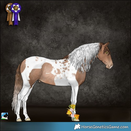 Horse Color:Liver Chestnut Pearl Tobiano Rabicano 