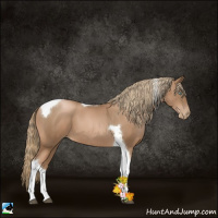 Horse Color:Liver Chestnut Pearl Tobiano 