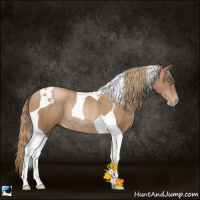 Horse Color:Liver Chestnut Pearl Tobiano Rabicano 