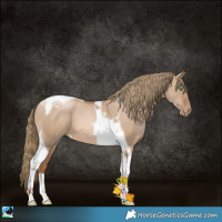 Horse Color:Liver Red Dun Pearl Tobiano 