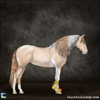 Horse Color:Gold Champagne Pearl Tobiano 